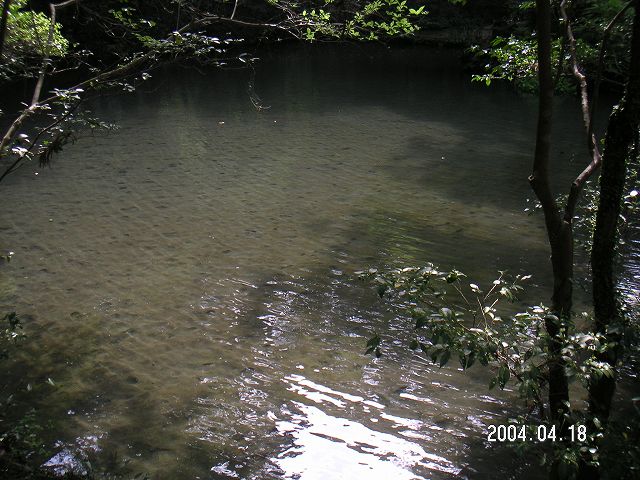 s_PICT0009.jpg